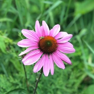 Meet your Posher, Sadre